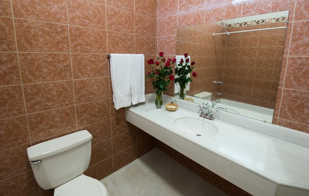 Omni Auto Hotel Guatemala City Rum bild